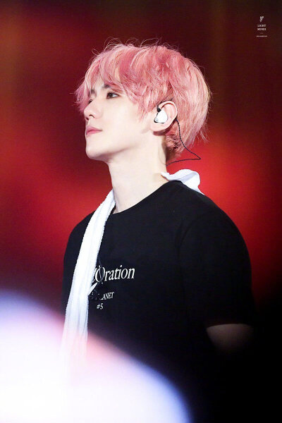 EXO 五巡 边伯贤