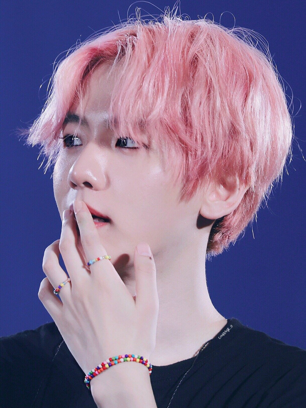 EXO 五巡 边伯贤