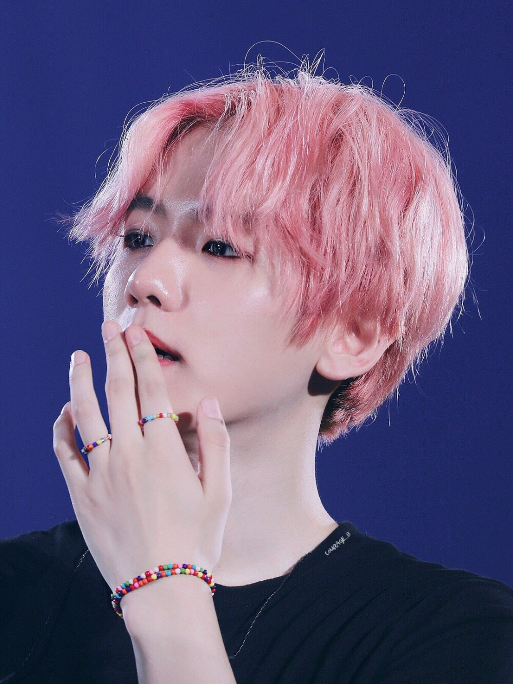 EXO 五巡 边伯贤