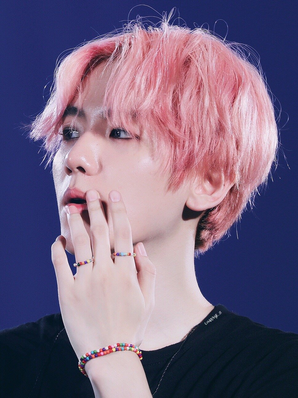 EXO 五巡 边伯贤