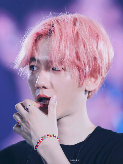 EXO 五巡 边伯贤