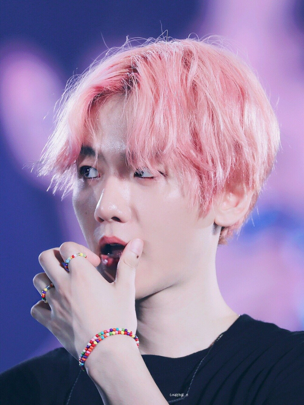 EXO 五巡 边伯贤