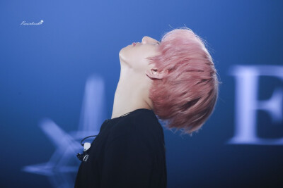 EXO 五巡 边伯贤