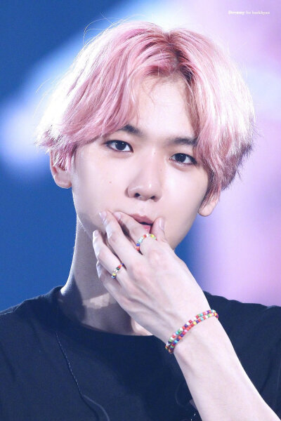 EXO 五巡 边伯贤