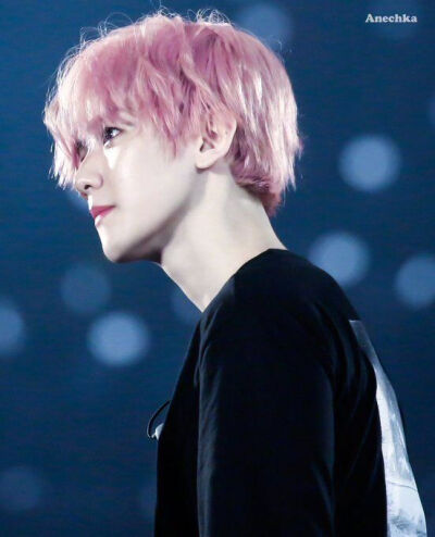 EXO 五巡 边伯贤