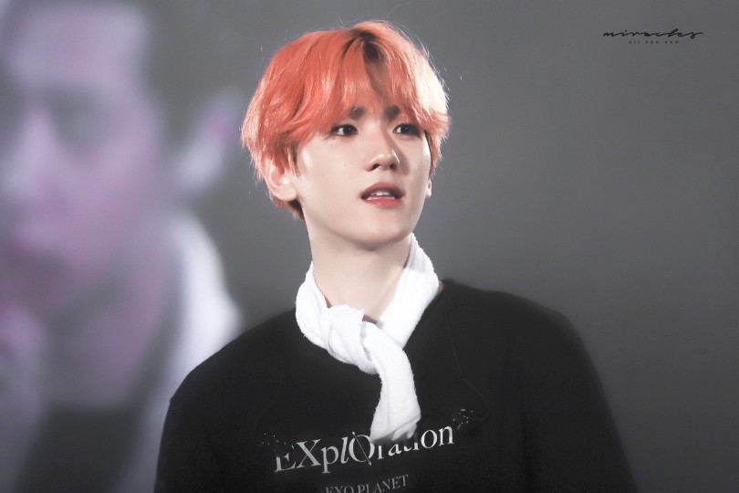 EXO 五巡 边伯贤