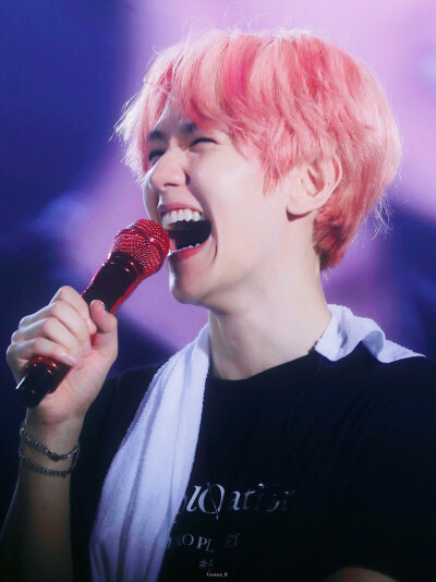 EXO 五巡 边伯贤