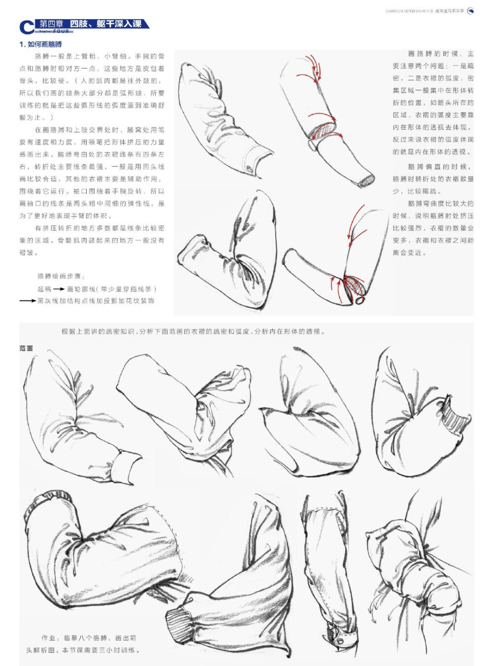 速写局部练习