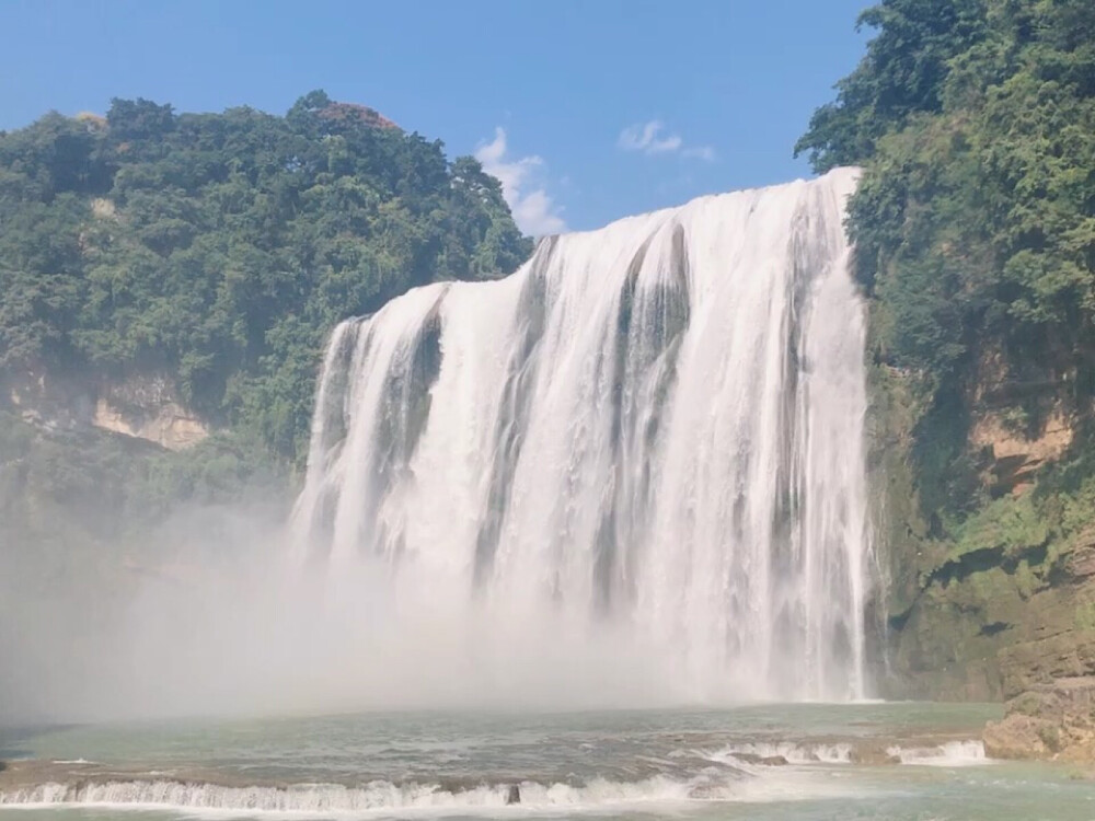 黄果树