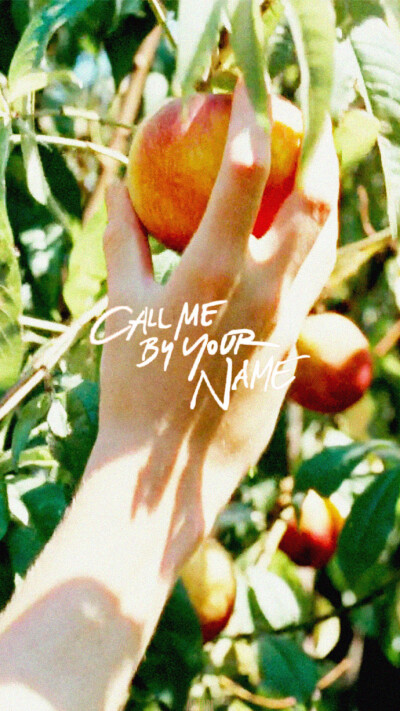 Call me by your name
海报