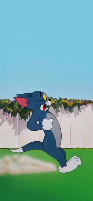 猫和老鼠 手机壁纸