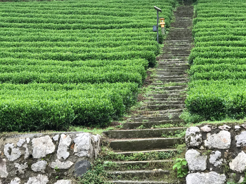 这世间种种都无法成全我对你的爱恨嗔痴 你若欢喜 我必惆怅 你若安好 我必失眠