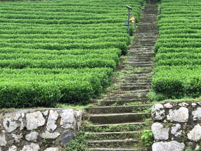 这世间种种都无法成全我对你的爱恨嗔痴 你若欢喜 我必惆怅 你若安好 我必失眠