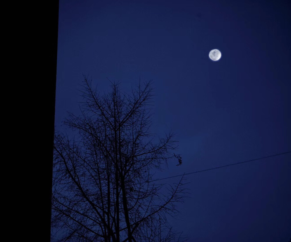 只要我足够冷漠，伤心的那一位就不会是我.