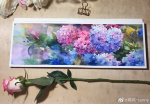 绣球花