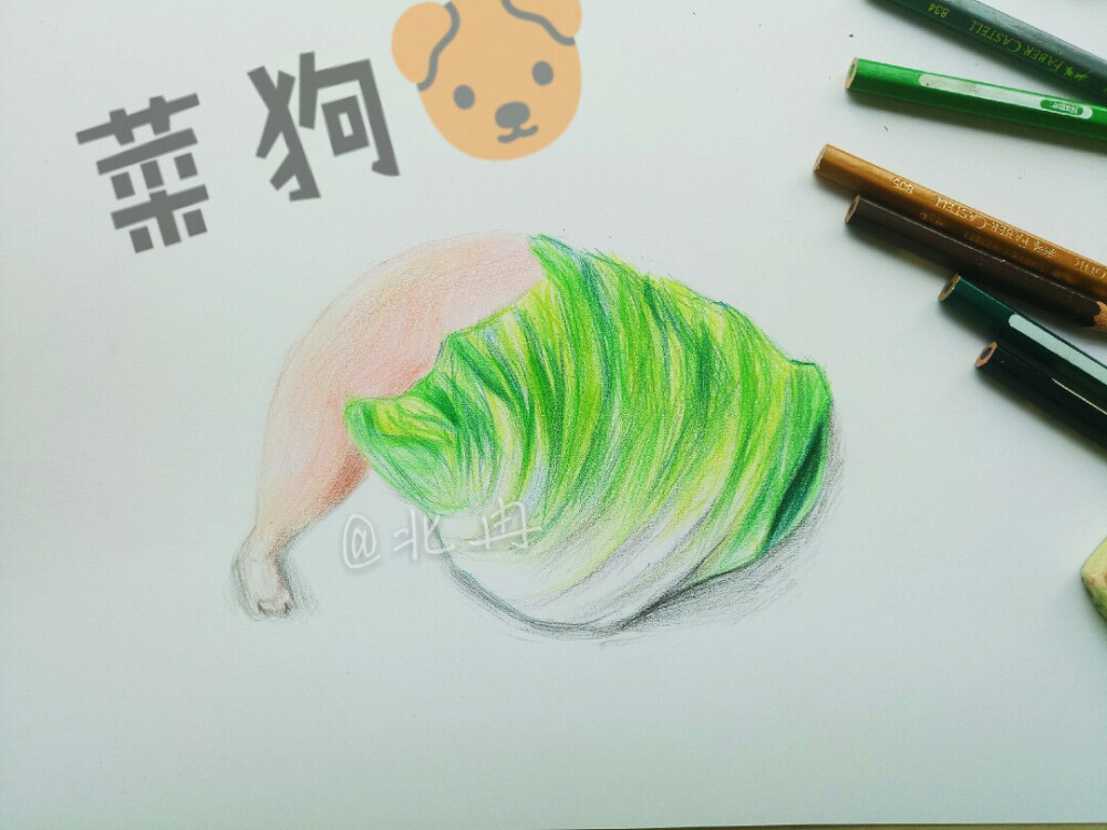 彩铅画