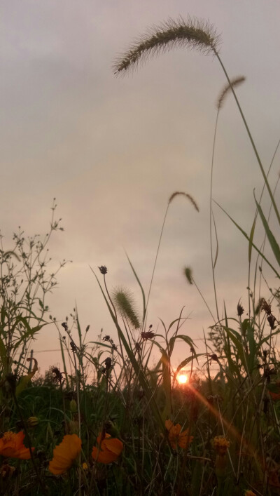 夕阳无限好2019.08.13