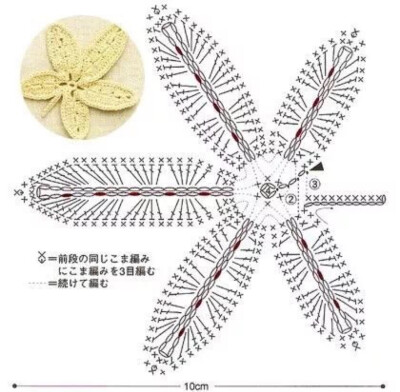 树叶
作者见水印，转自网络