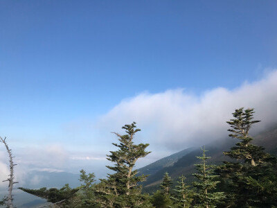 day5富士山