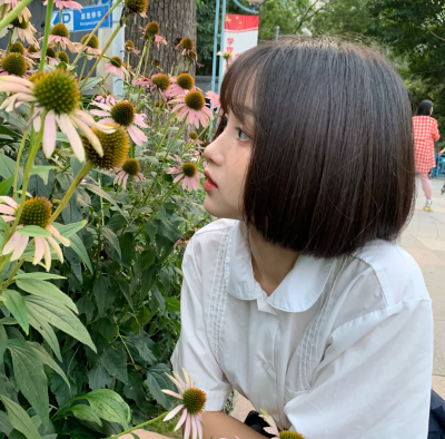 超爱王涵大朋友