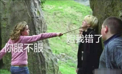 哈利波特-表情包