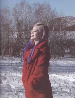 金多贤豆腐 镜头精灵金多贤