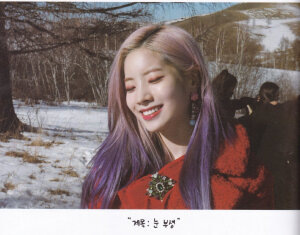 金多贤豆腐 镜头精灵金多贤