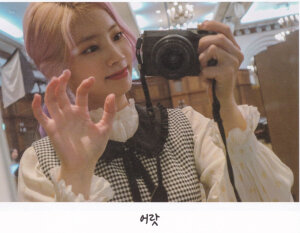 金多贤豆腐 镜头精灵金多贤