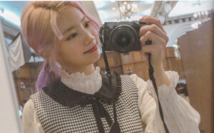 金多贤豆腐 镜头精灵金多贤