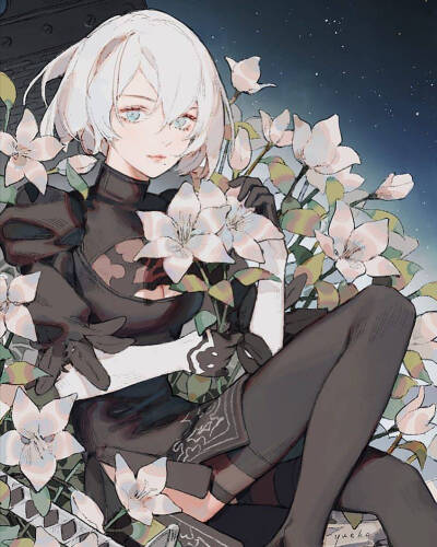 二次元