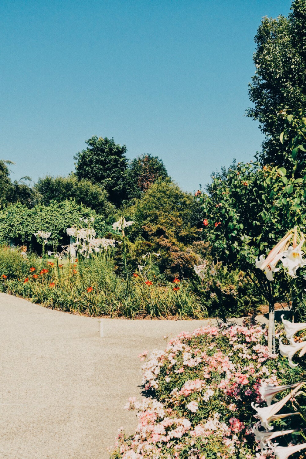 ✨
夏末秋初，
一年中我最爱的时光。
*Why Garden？
献上一个藏着小石榴的花园。
Huntington Library, San Marino ​​​
来着微博为什么美术馆