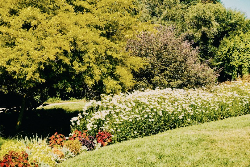 ?
夏末秋初，
一年中我最愛的時光。
*Why Garden？
獻(xiàn)上一個藏著小石榴的花園。
Huntington Library, San Marino ???
來著微博為什么美術(shù)館