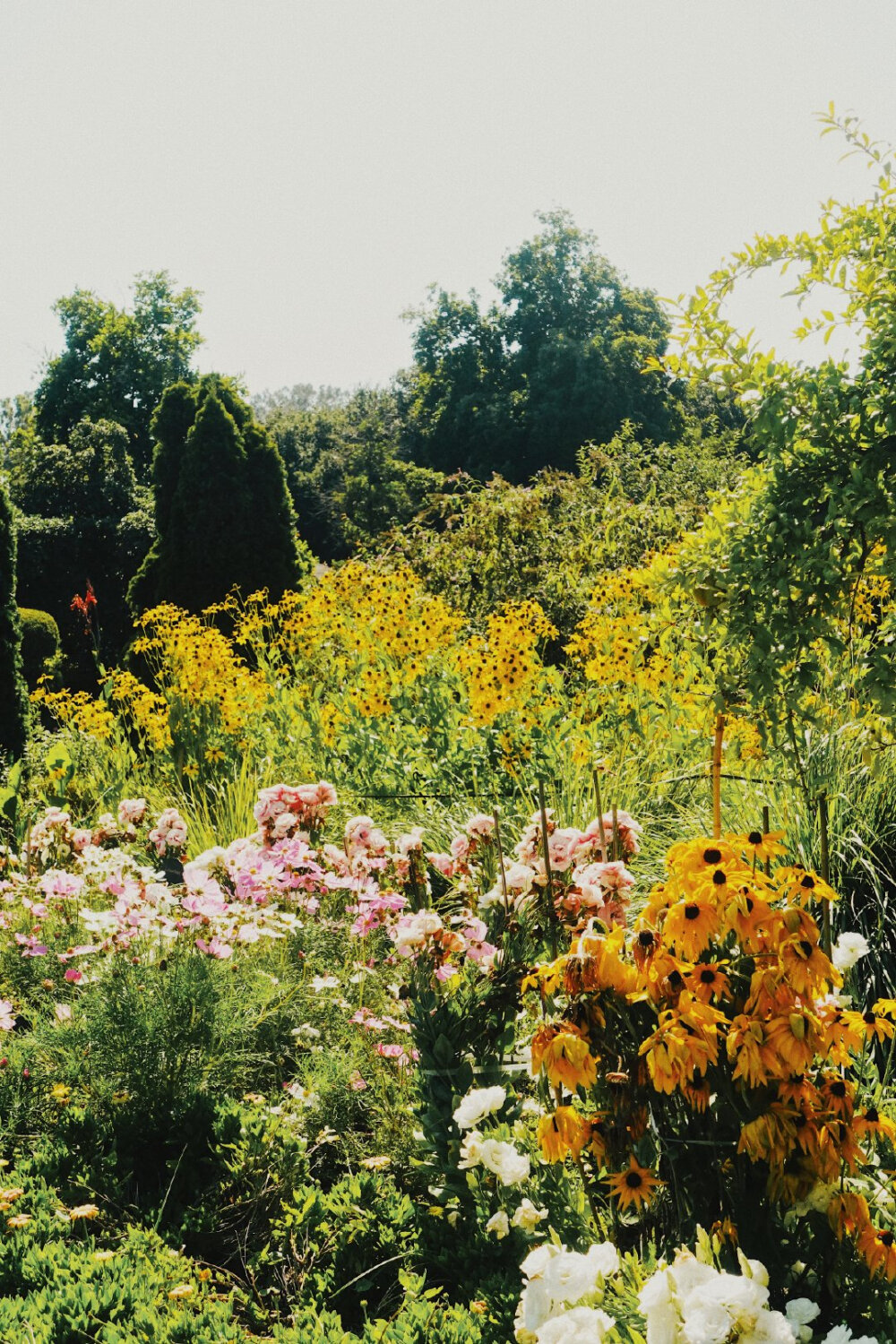 ✨
夏末秋初，
一年中我最爱的时光。
*Why Garden？
献上一个藏着小石榴的花园。
Huntington Library, San Marino ​​​
来着微博为什么美术馆