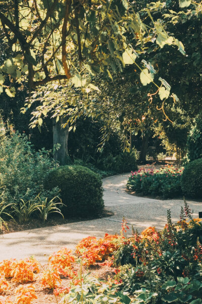 ✨
夏末秋初，
一年中我最爱的时光。
*Why Garden？
献上一个藏着小石榴的花园。
Huntington Library, San Marino ​​​
来着微博为什么美术馆