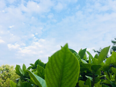 老家的夏天永远是童年里的模样！