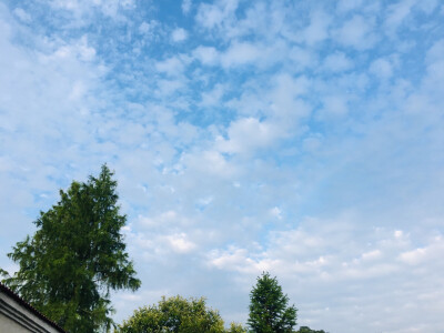 老家的夏天永远是童年里的模样！