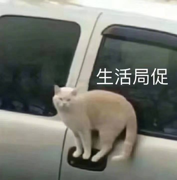 对不起