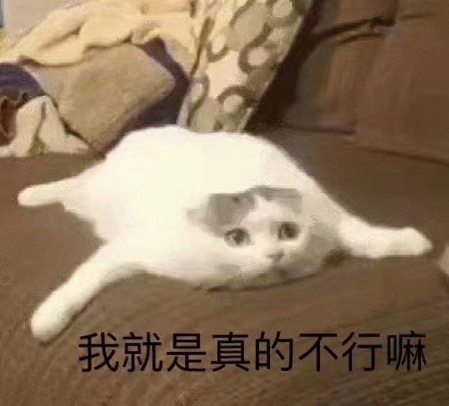 肥宅快乐每一天