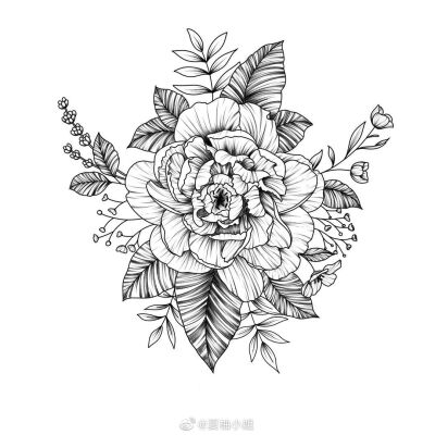 植物花卉线稿 黑白手绘 画画