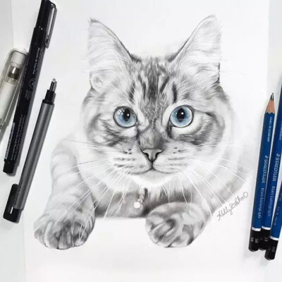 可爱猫咪彩铅手绘图 