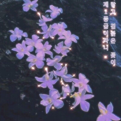 ■ 煙花接二連三鋪上黑夜