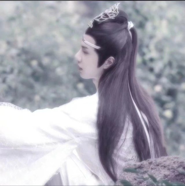 陈情令 魏无羡蓝忘机