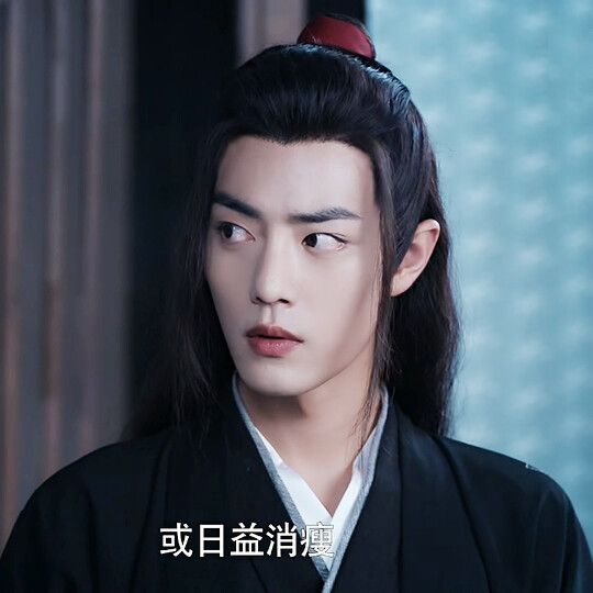 陈情令 魏无羡蓝忘机