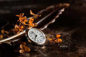  veerle decocq在 500px 上的照片still life
时间
