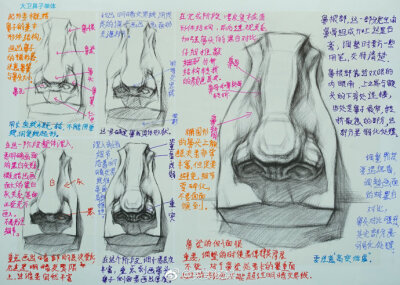 素描石膏头像手稿 步骤详解 ​（转） ​