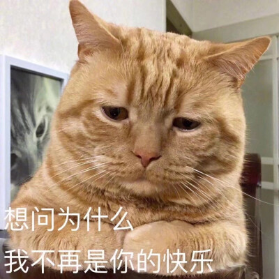 哭哭表情包