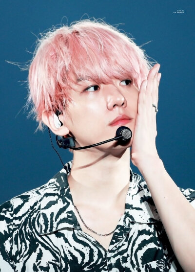 EXO 五巡 边伯贤