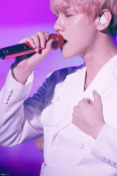 EXO 五巡 边伯贤