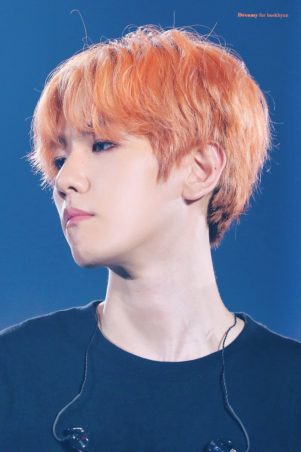 EXO 五巡 边伯贤