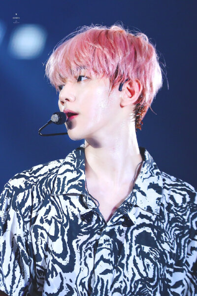 EXO 五巡 边伯贤